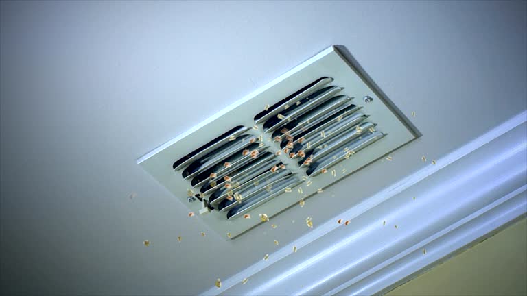 Reliable Canyon, TX Airduct Cleaning Solutions